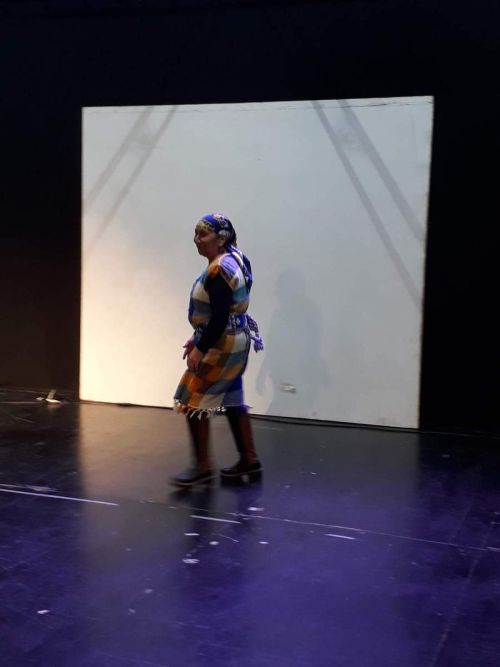 Desfile textil 2018
