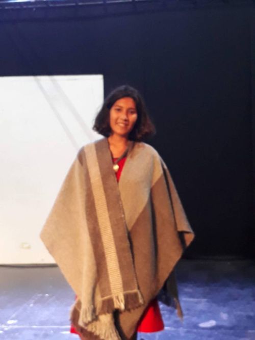 Desfile textil 2018