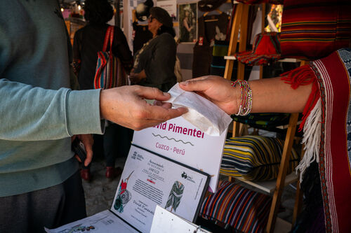 Feria Domingo, Domingo 26 de abril
