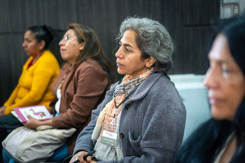 Charla sobre formulación de proyectos en línea artesanía, Jueves 23 de abril