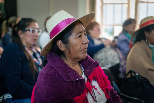 Charla sobre formulación de proyectos en línea artesanía, Jueves 23 de abril