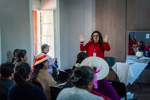 Charla sobre formulación de proyectos en línea artesanía, Jueves 23 de abril