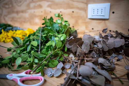 Taller de estampado botánico, Viernes 24 de abril
