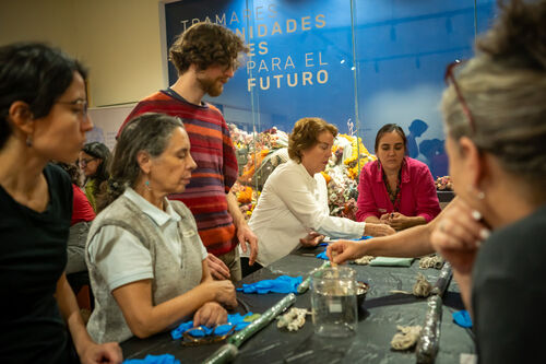 Taller de estampado botánico, Viernes 24 de abril