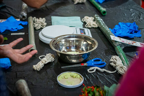 Taller de estampado botánico, Viernes 24 de abril