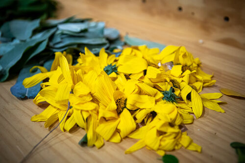 Taller de estampado botánico, Viernes 24 de abril