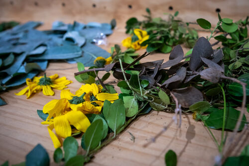 Taller de estampado botánico, Viernes 24 de abril
