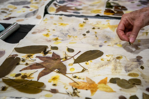 Taller de estampado botánico, Viernes 24 de abril