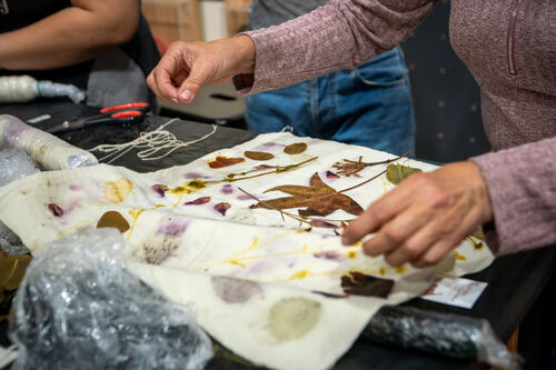 Taller de estampado botánico, Viernes 24 de abril