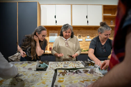 Taller de estampado botánico, Viernes 24 de abril