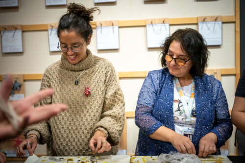 Taller de estampado botánico, Viernes 24 de abril