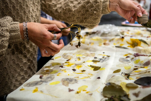 Taller de estampado botánico, Viernes 24 de abril