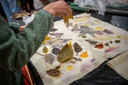 Taller de estampado botánico, Viernes 24 de abril
