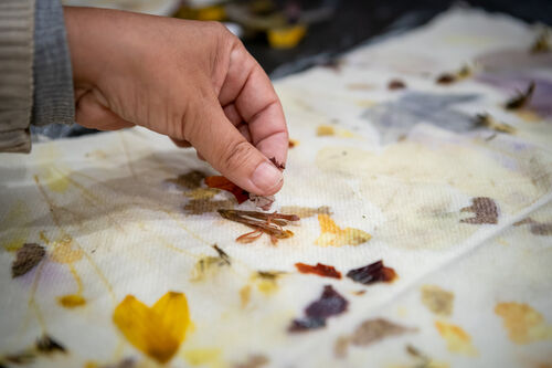 Taller de estampado botánico, Viernes 24 de abril