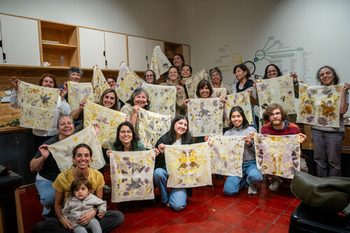 Taller de estampado botánico, Viernes 24 de abril